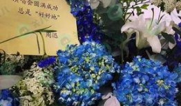 花篮网爆料最新网站,最新网站幕后故事大曝光