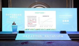 兴化百姓爆料网站最新,最新民生动态一网打尽