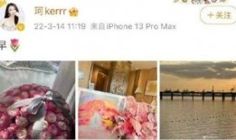 小胡静最新爆料,揭秘娱乐圈惊人内幕