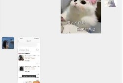 胖猫姐姐最新爆料,娱乐圈最新爆料大揭秘！