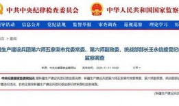 新疆最新新闻爆料网站,聚焦热点事件，揭秘幕后真相