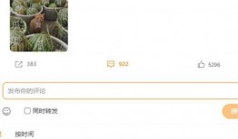 童瓜最新爆料在线观看,揭秘娱乐圈幕后真相，在线观看不容错过！